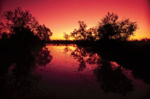 Crimson and orange sunset over a still wetland in the Gulf Savannah, with silhouettes of trees reflecting on the water.