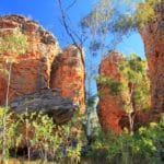 Towering sandstone pinnacles and native vegetation under clear blue skies at The Lost City near Cape Crawford, explored on extended Gulf Savannah Tours.
