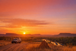 Sunset over the Gulf Savannah with a 4WD track and brolgas